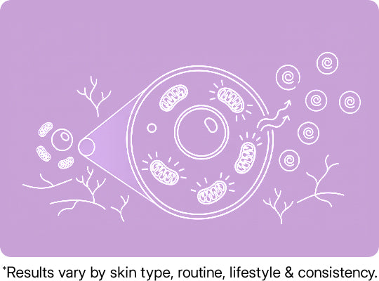 Skin Cells Respond